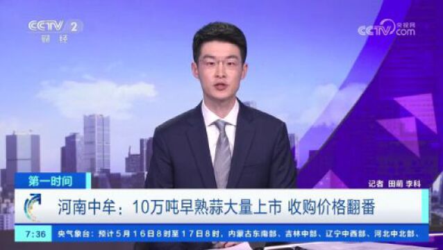 郑州中牟:10万吨早熟蒜大量上市 收购价格翻番