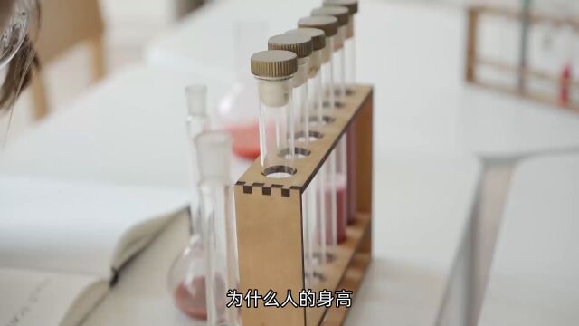 为什么人的身高早上比晚上高?科学揭秘身高变化的原因