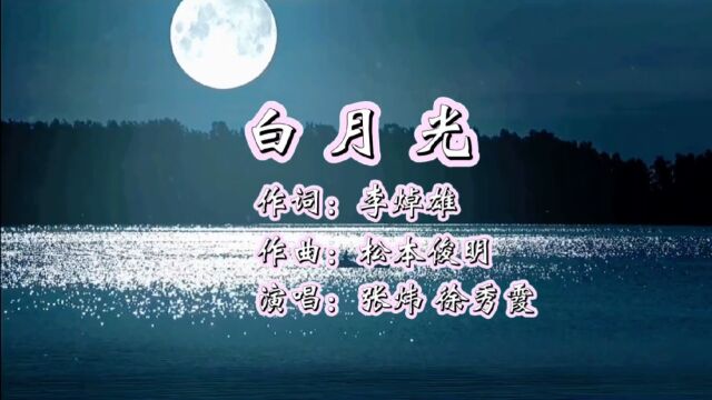 白月光 作词:李焯雄 作曲:松本俊明 演唱:张炜 徐秀霞