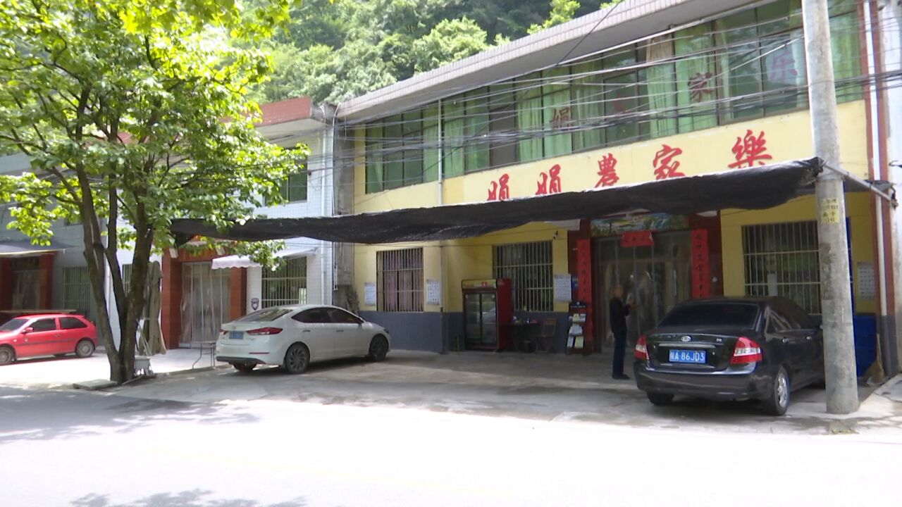 民间林长上岗一年 守护青山绿水常在