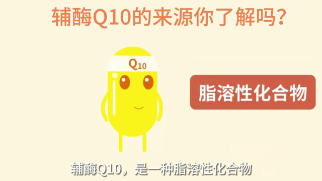 辅酶Q10的来源你了解吗?