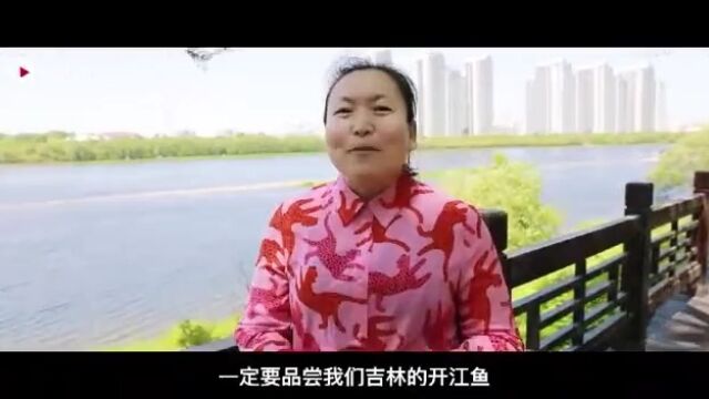 “开江鱼”撒欢正当时,鲜气挡不住!