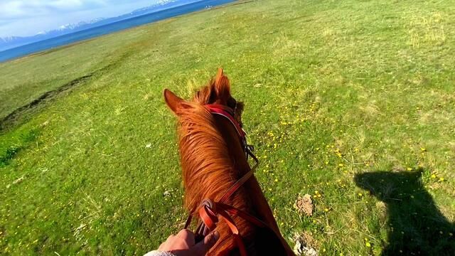 赛里木湖北门影城马队欢迎你们来骑马[抱拳][抱拳][勾引][勾引]#骑马环游赛里木湖 #赛里木湖风景 #赛里木湖