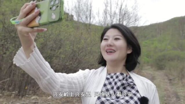 【网络达人看兴安】踏冰赏花,小石牛山上美景天成