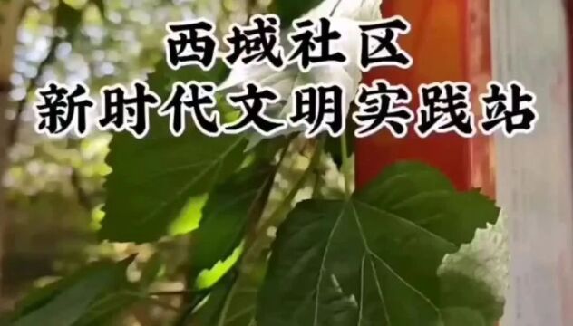 【新时代文明实践】投票啦!快来pick您喜欢的新时代文明实践站(第一期)