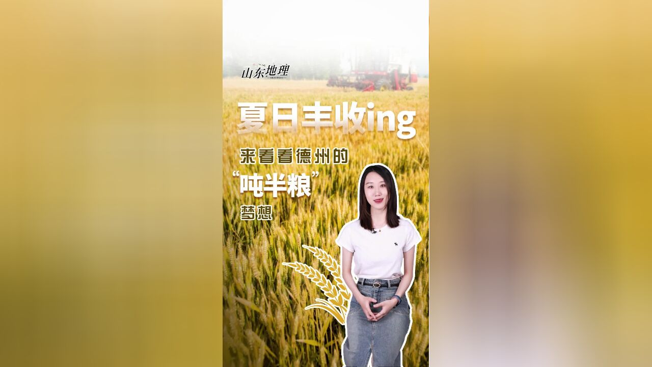 山东地理丨夏日丰收ING,来看看德州的“吨半粮”梦想