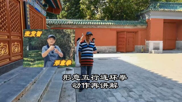 形意五行连环拳动作再讲解:形意拳张发智之功夫(47)