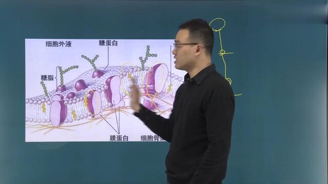 2022年放射医学技术中级 376 基础知识 精讲班xx