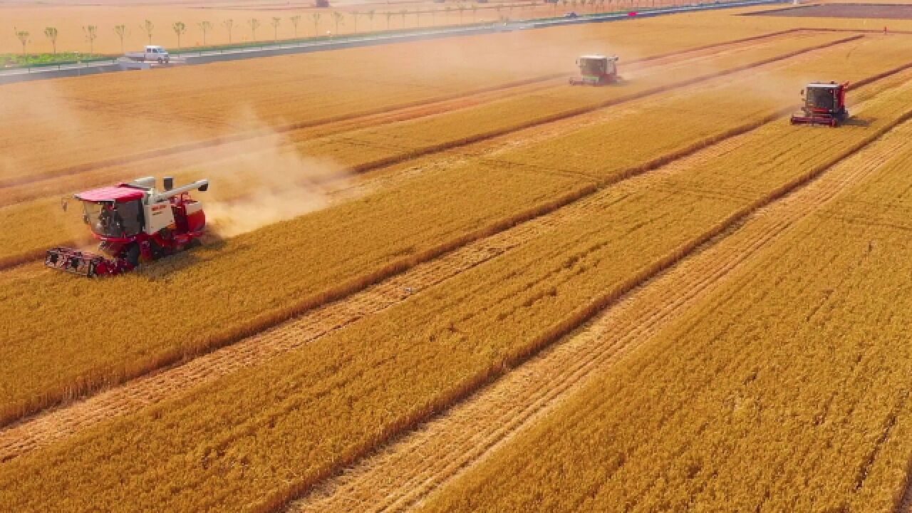 致过往迎未来,听《逐浪》唱响人生态度