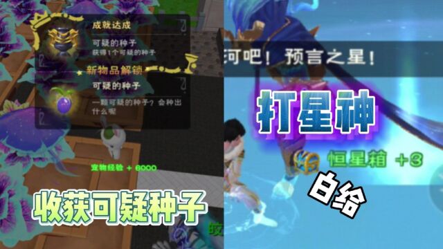 星川解说:创造与魔法打星神又白给白菜被偷了收获可疑种子练号