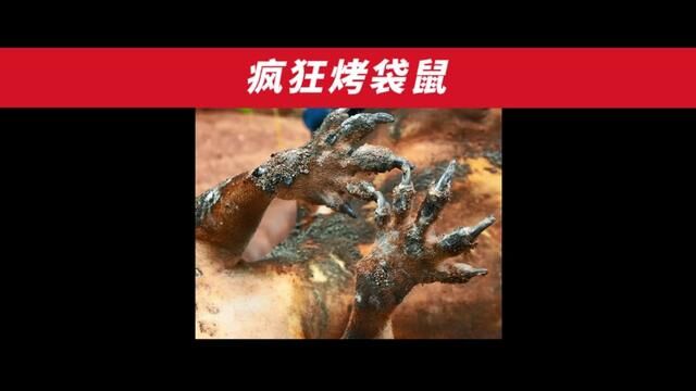 澳大利亚特色美食“疯狂烤袋鼠”与“肉夹馍小三嫂”也是真的好家伙了兄弟们~#妈呀太香了 #美食 #农村生活 #户外