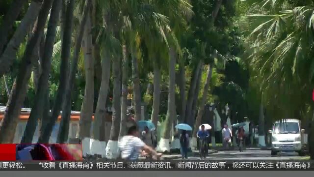 2023海南省大学生志愿服务中西部计划招募通道开启 拟招166人