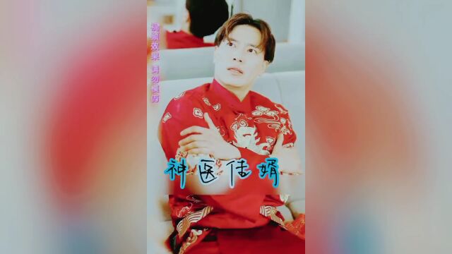 好剧推荐《神医佳婿》