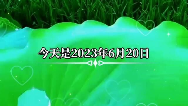 #愿早晨的阳光伴随你愉悦的每一天 #好运莲莲 #夏日荷花 #好运会伴随你的每一天 #早安心语