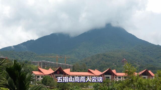 《五指山 我的家园》作词作曲郑有基 演唱陈晶晶 编配录音文海云 视频制作曾东