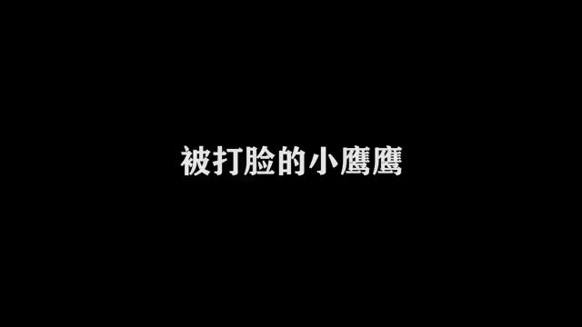 被打脸的小鹰鹰唔唔唔什么玩意?动画脑洞大开搞笑地球村