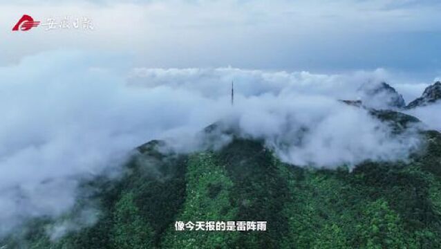 坐标黄山!全省海拔最高步班邮道