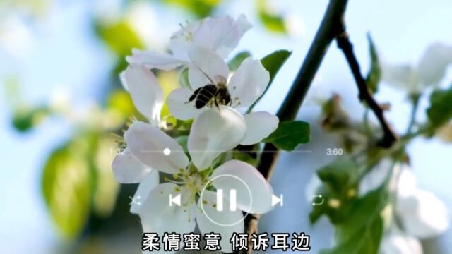 经典粤语怀旧金曲