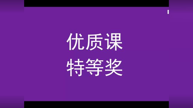 信息技术优质课特等奖比特与图像