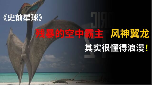 侏罗纪时代的空中霸主风神翼龙,究竟有多懂浪漫,你肯定想不到?