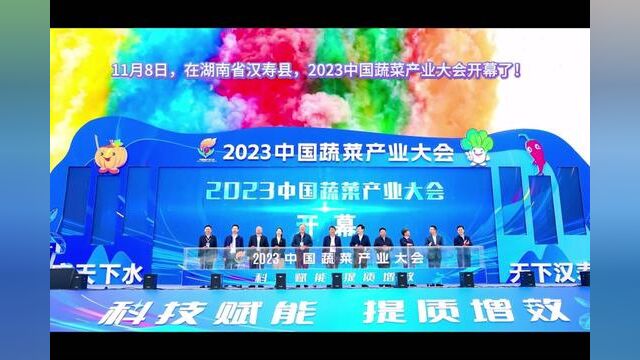 “科技赋能,提质增效”一年一度的产业盛会——2023中国蔬菜产业大会在美丽的八百里洞庭湖滨湖南汉寿举行!#热点