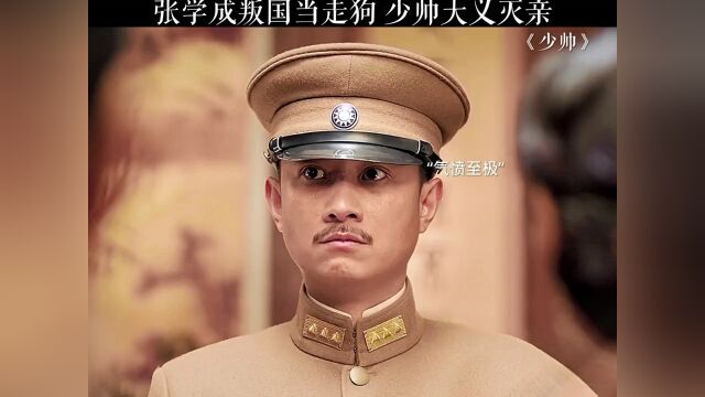 张学成叛国,少帅大义灭亲 #放映厅免费看大片