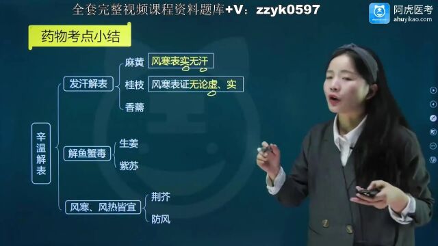 2023年阿虎医考执业中药师考试视频复习资料押题笔试完整课程上岸 辛温解表药