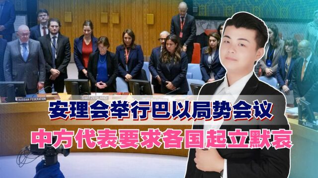 安理会举行巴以局势会议,中方代表要求各国起立默哀