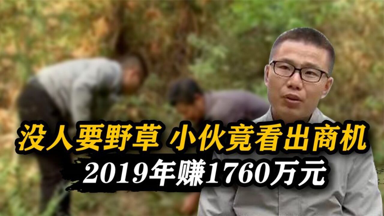 5毛钱一斤没人要的“野草”,小伙竟看出商机,2019年赚1760万元