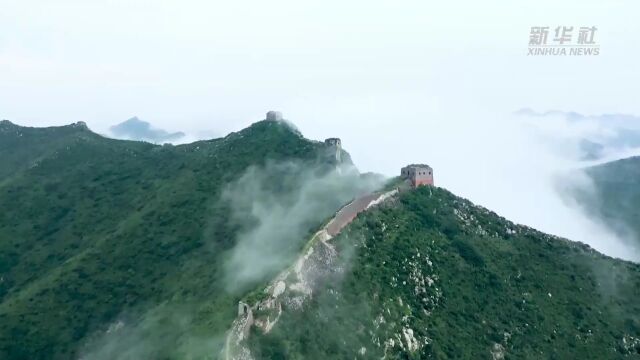 近日,一场降雨过后,河北省迁安市五重安镇境内的红峪口长城出现云海景观.