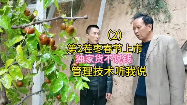 李老师1年结2次果蟠枣基地来山东老乡,他倾囊相授传核心技术 #蟠枣 #种植技术