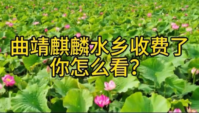 曲靖麒麟水乡收费了,你怎么看?