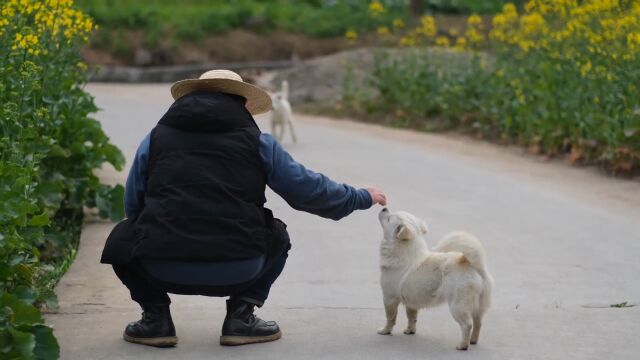 心土戏剧影视教育往期学员作品《奶奶的厨房》