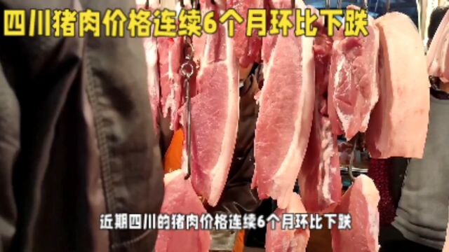 四川猪肉价格连续下跌