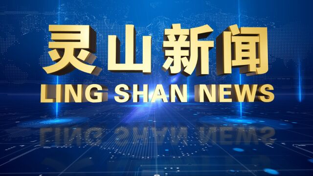 2023年11月15日灵山电视新闻