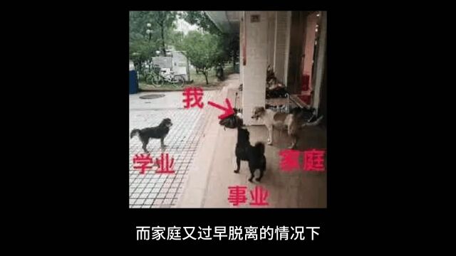 今日话题 为什么很多人辛劳一生仍然生活在社会底层