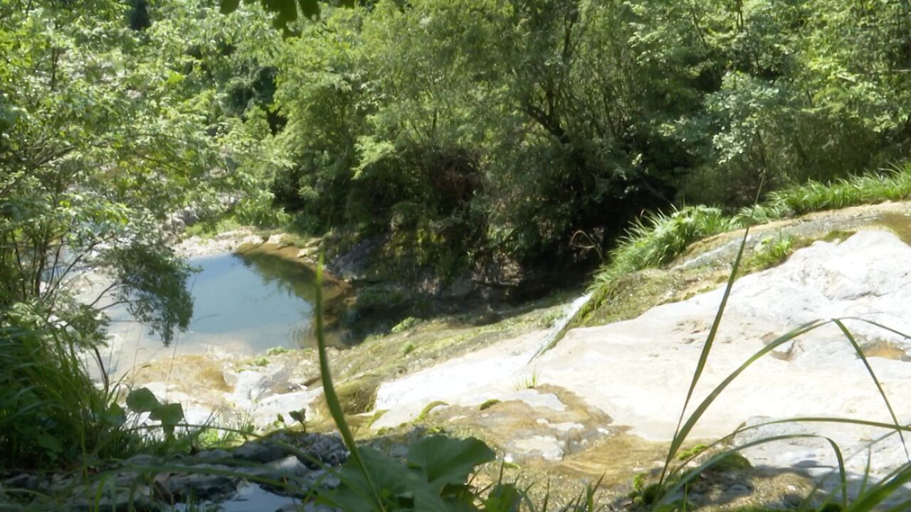 汉水济渭 惠泽万家 汉江源头护绿水 汩汩清流入秦川