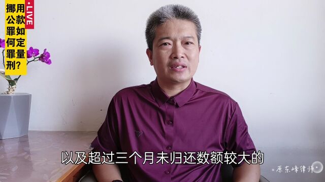 挪用公款罪如何定罪量刑?