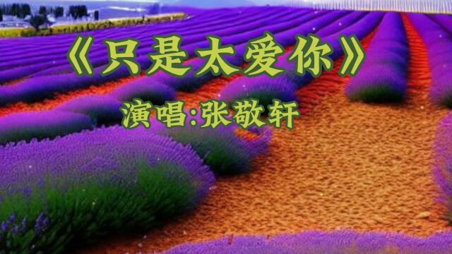 《只是太爱你》演唱:张敬轩