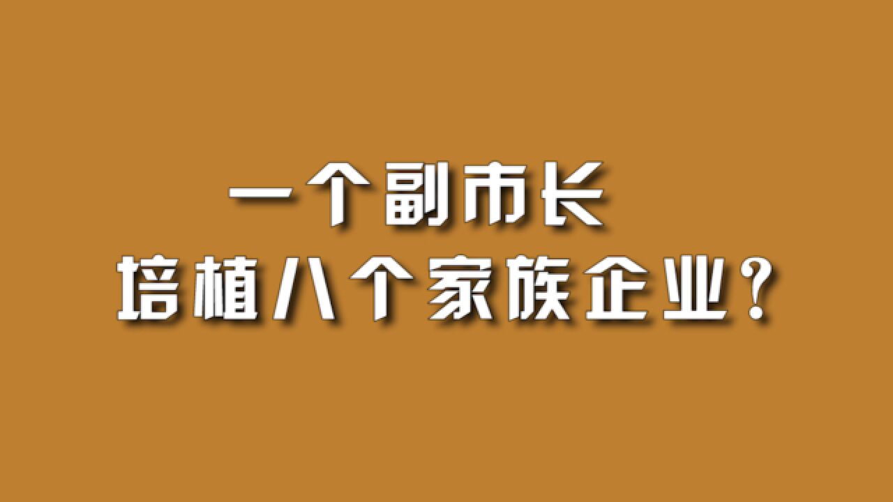 一个副市长,培植八个家族企业?