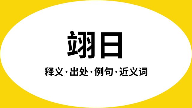 “翊日”是什么意思?