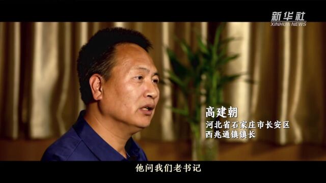 微纪录片丨习近平调查研究的故事