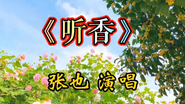 《听香》好听,字腔圆润,富有色彩情感,歌声.婉转悠扬婉,绝伦无比