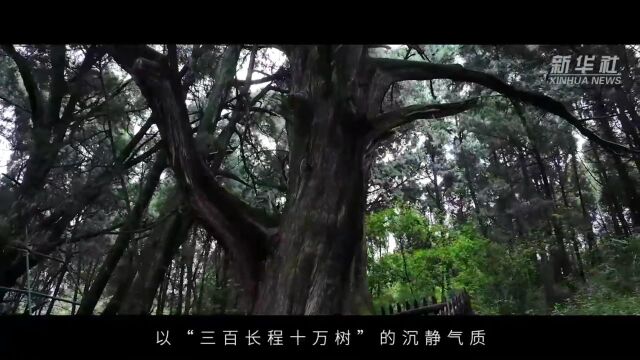 【历史文化】蜀道三千里,穿越古今的一部史诗丨千年古道变与不变的启示