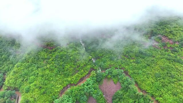 云山雾绕,千峰滴翠,雨后的红旗渠满目美景入画来.