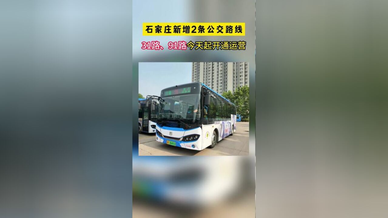 石家庄新增2条公交路线,31路、91路今天起开通运营