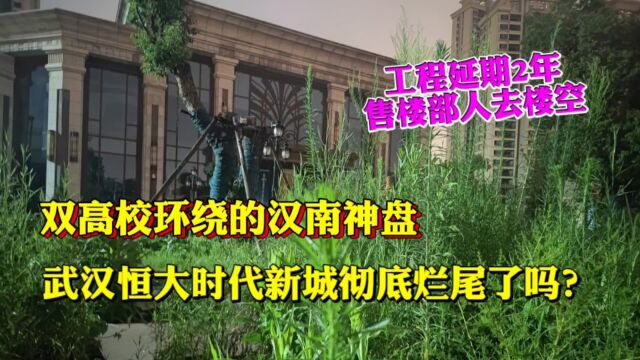 工程延期2年售楼部荒草丛生,武汉汉南恒大时代新城彻底烂尾了吗?#武汉生活# #武汉身边事# #武汉买房# #日常vlog#