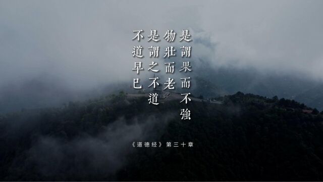 老子《道德经》第三十章“是谓果而不强.物壮而老,是谓之不道,不道早已”如何面对争斗