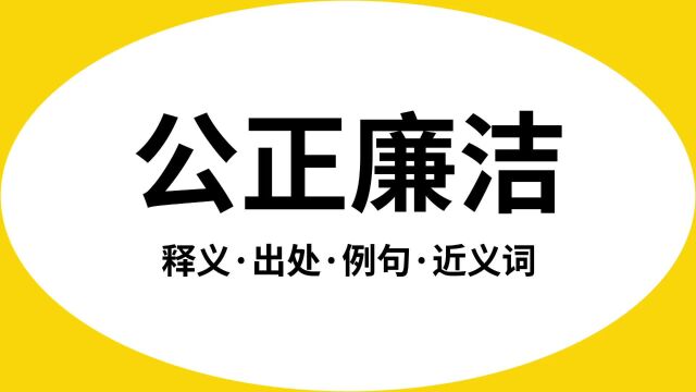 “公正廉洁”是什么意思?