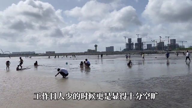 上海这个超大海滩免费开放!